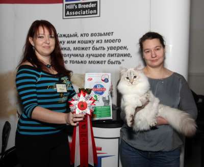 �������� ����� '������� ���-�����' 30 ������-1 ������� 2013., WCF-����� 3926